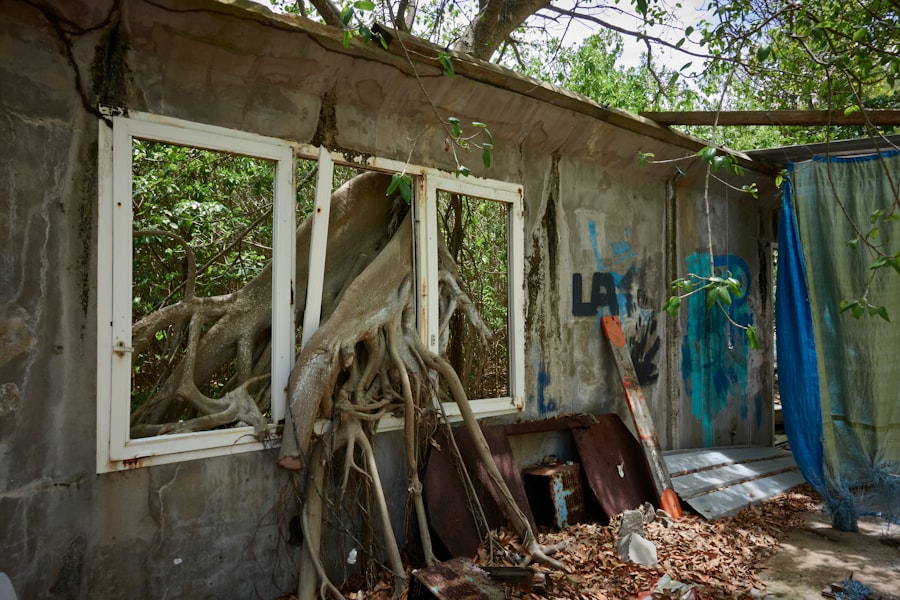 Home Repair Ocoee Florida