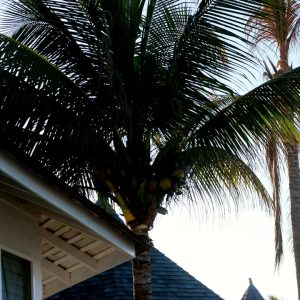 Photo Home Repair Ocala Florida