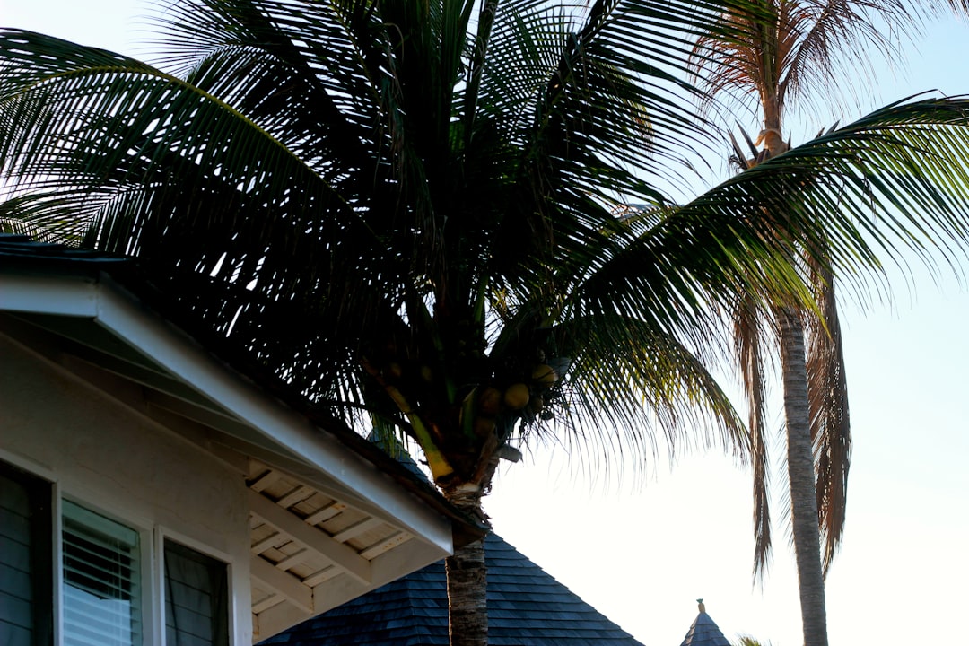 Photo Home Repair Ocala Florida